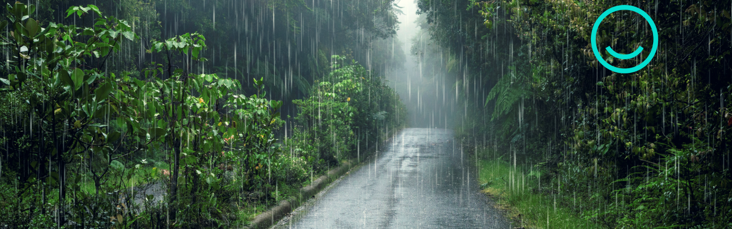 Silva Terra Dry Bags - keep your gear dry in the rain!